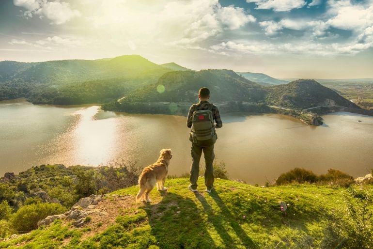 greatlittlebreaks-blog-best-dog-walks-uk